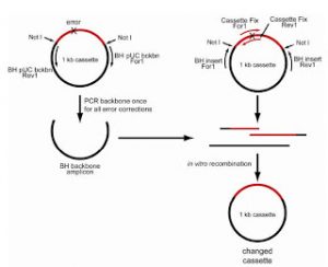 Craig Venter and his Team have Made Artificial Life