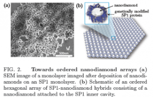 A scalable way to make nanodiamond arrays with nitrogen vacancies for ...