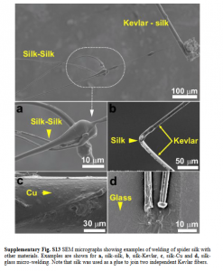 Machining of spider silk fibers using femtosecond lasers ...