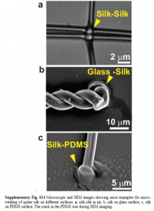Machining of spider silk fibers using femtosecond lasers ...