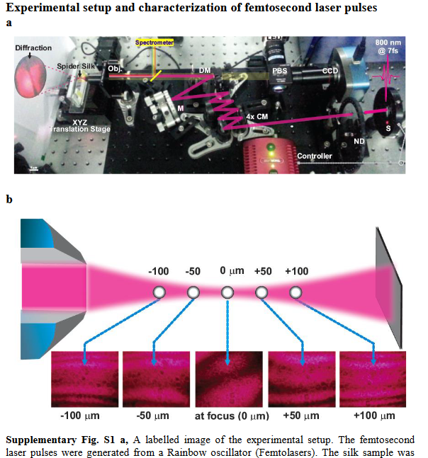 Machining of spider silk fibers using femtosecond lasers ...