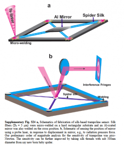 Machining of spider silk fibers using femtosecond lasers ...