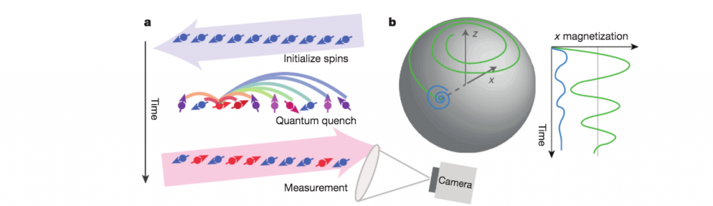 Largest quantum simulations using 53 qubit trapped ions and another ...