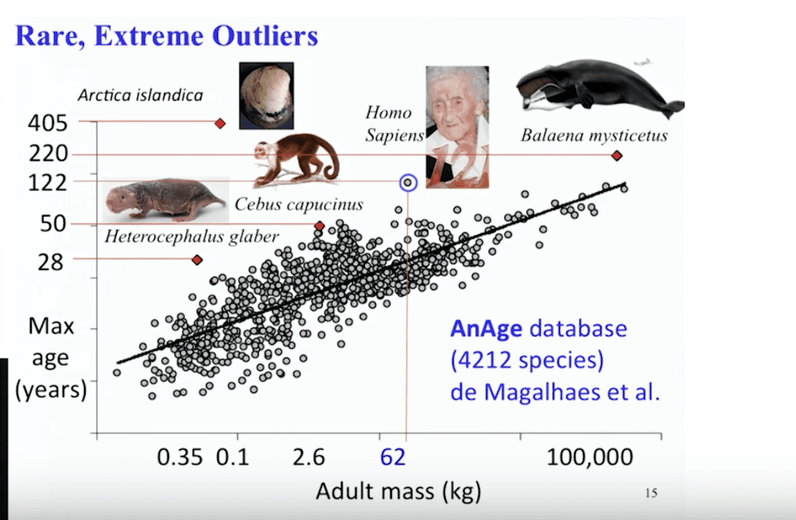 AnAge database of animal longevity and other aging databases