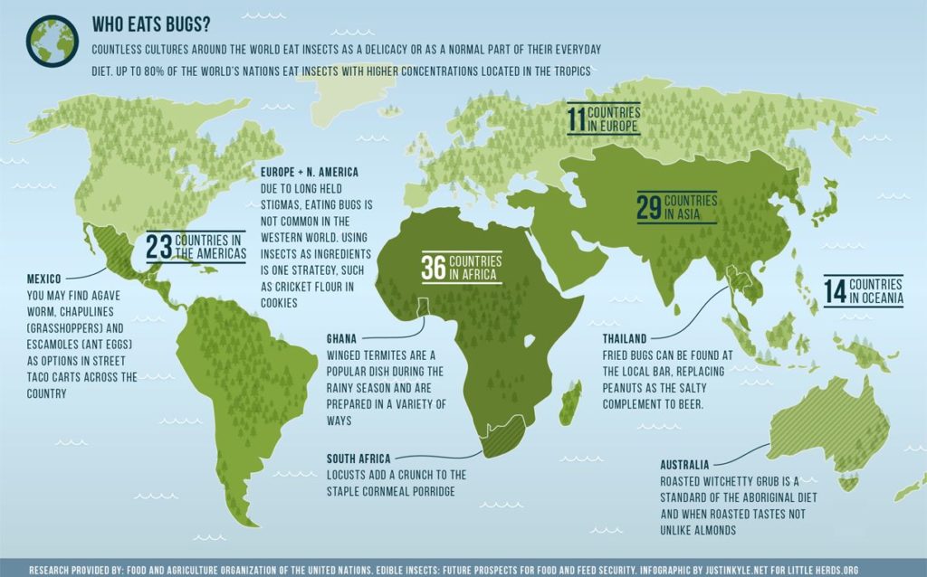 Millions of Tons of Insects for Animal Feed by 2030 for Hyperefficient