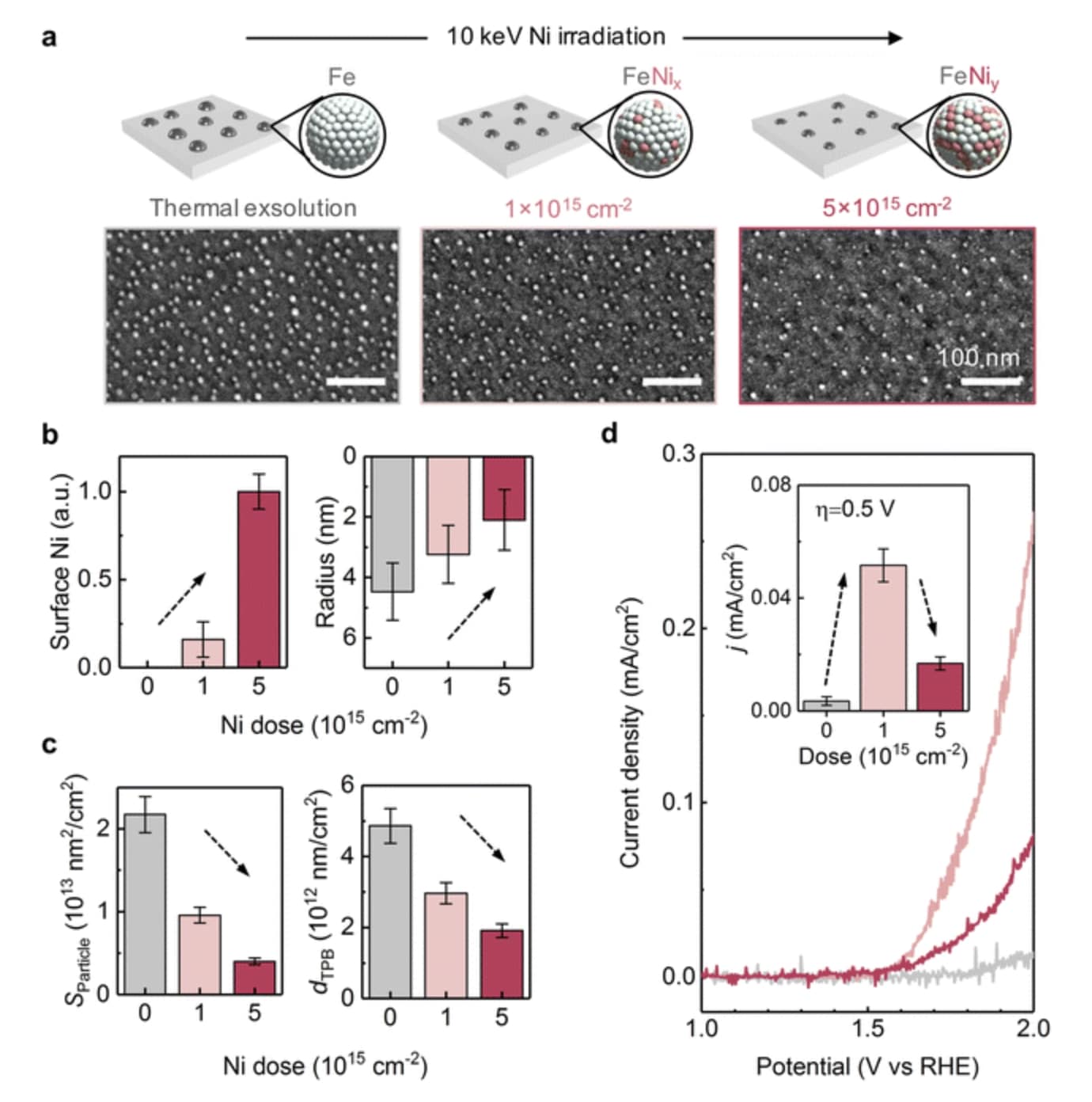 Controlling the Size, Composition and Dispersion of Metal Nanoparticles ...