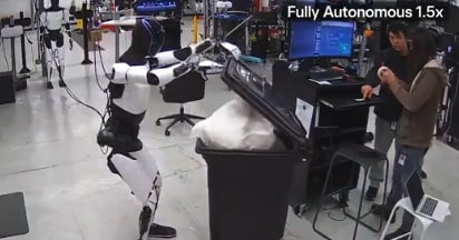 Tesla Optimus Humanoid Robot