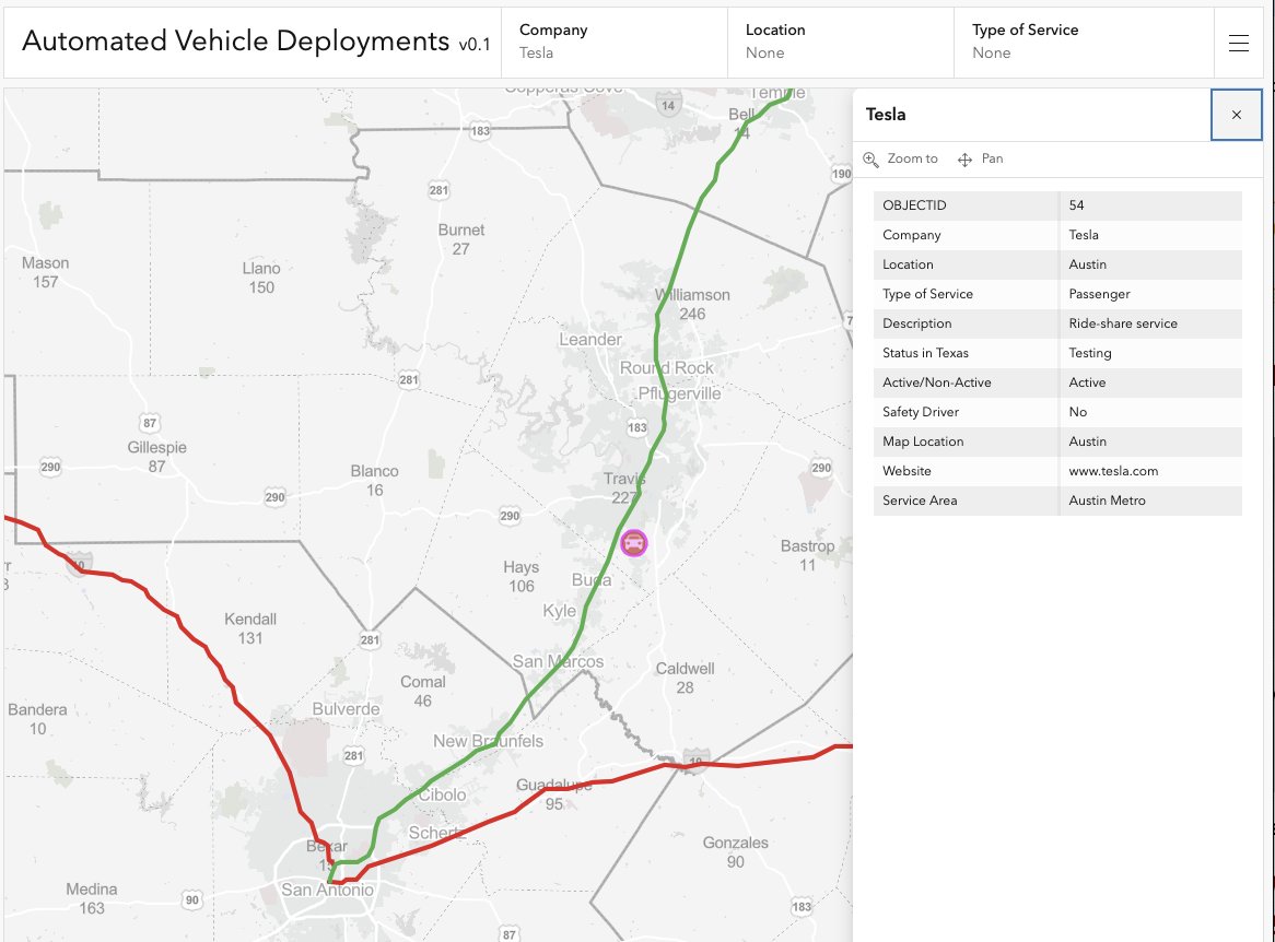 Tesla Robotaxi in Texas
