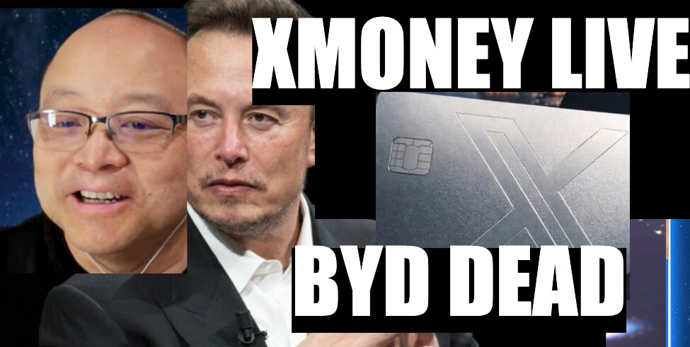 BYD Has Fallen to One Third of China Sales Compared to 1 Year Ago BYD Has Fallen to One Third of China Sales Compared to 1 Year Ago